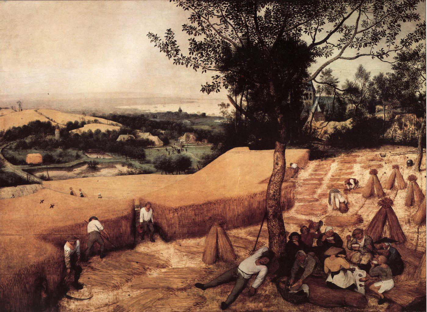 The Harvesters
